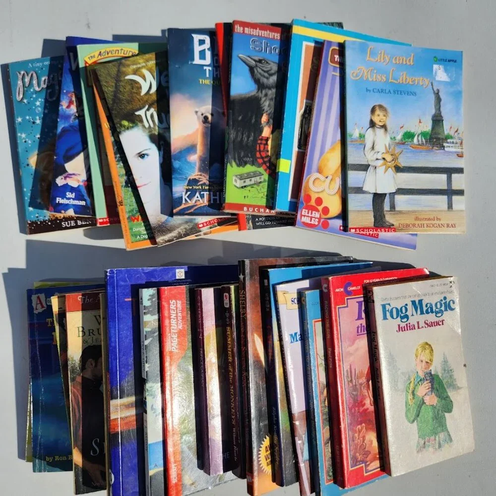4 Book Bundle Lot Set Chapter Books Young Adult Literature Novels Mystery Books